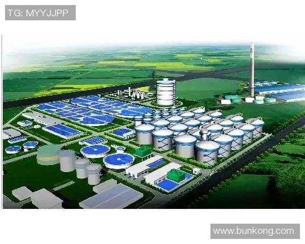 武汉足球队在钻石联赛中的技术表现分析与未来展望 武汉足球队在钻石联赛中的技术表现分析与未来展望